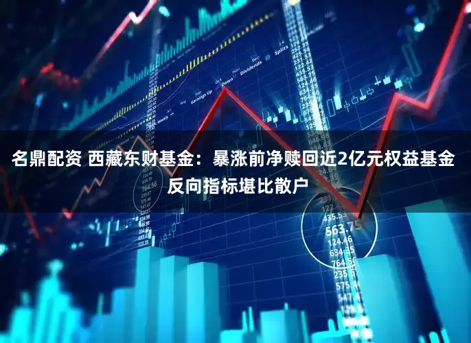 名鼎配资 西藏东财基金：暴涨前净赎回近2亿元权益基金  反向指标堪比散户